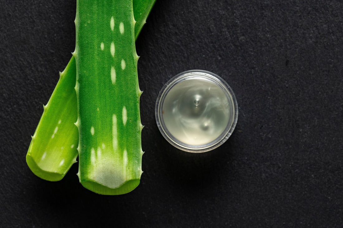 L’Aloé Vera : Le Secret Naturel de la Beauté Coréenne