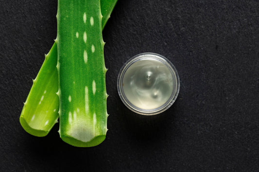 L’Aloé Vera : Le Secret Naturel de la Beauté Coréenne